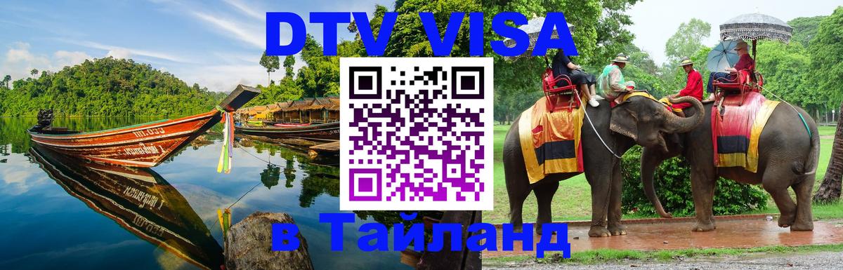 Оформление DTV визы под ключ: стоимость и тарифы, только загранпаспорт - Новороссийск 